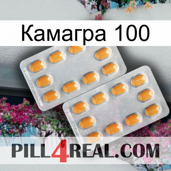 Камагра 100 cialis4.jpg